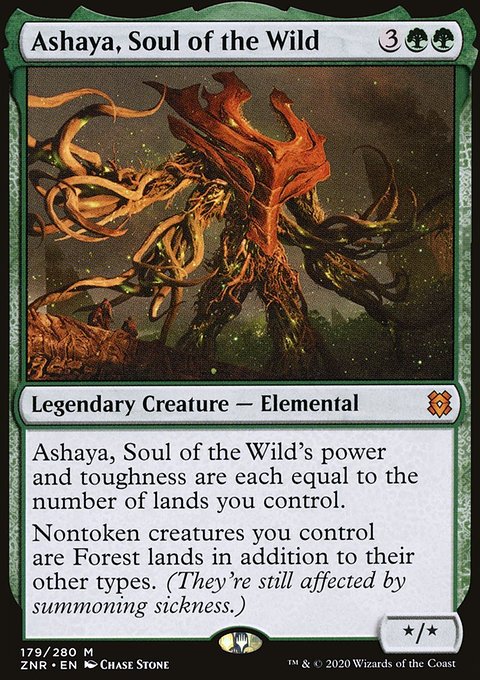 Ashaya, Soul of the Wild